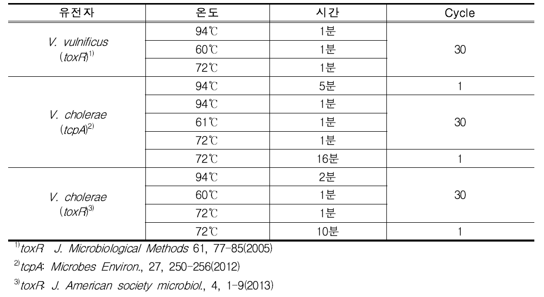 비브리오의 conventional PCR 조건