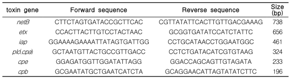 C. perfringens Multiplex-PCR 시험법을 위한 유전자 정보