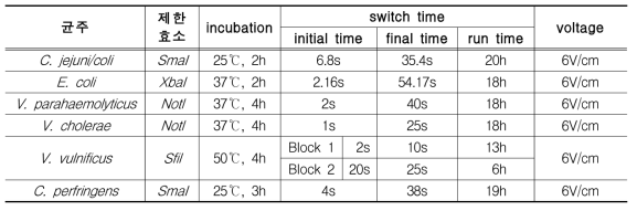 식중독균별 전기영동 조건