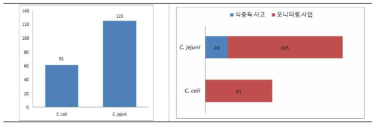 C. jejuni/coli 분리 현황