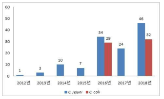 연도별 캠필로박터균 분리 현황