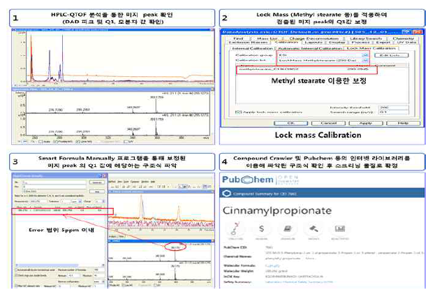 HPLC-Q-TOF 비표적 스크리닝 미지물질 확인 방법