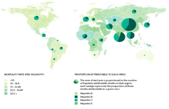 간염으로 인한 사망자수 지역 분포