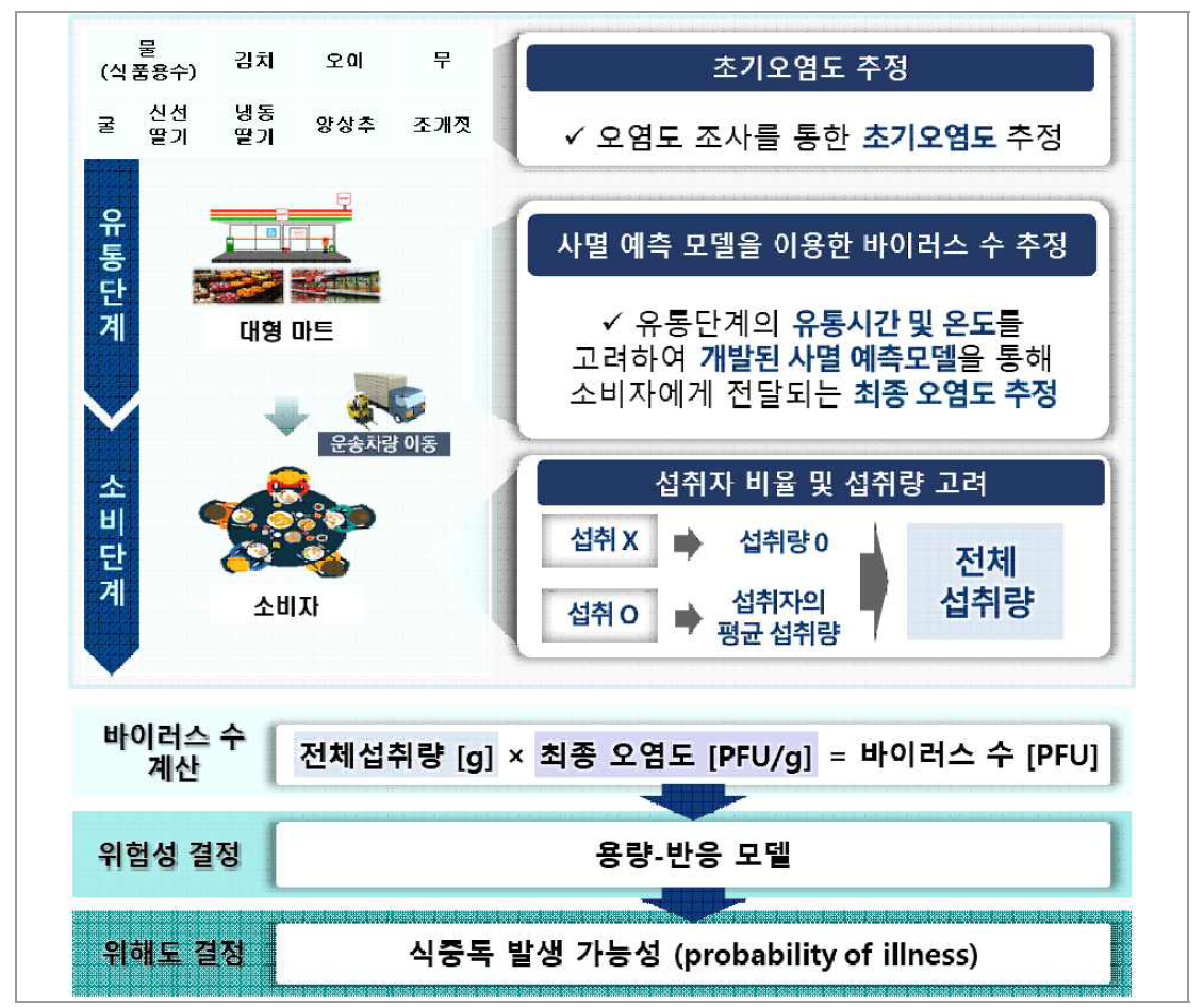 노로바이러스 및 A형 간염 바이러스 위해우려 식품군에 대한 위해평가 시나리오