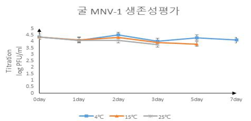 굴 온도별 생존성 평가