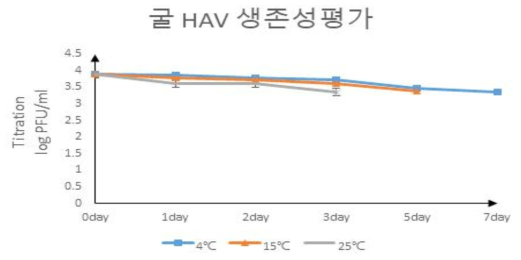 굴 온도별 생존성 평가