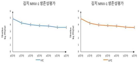 배추김치 온도별 생존성 평가