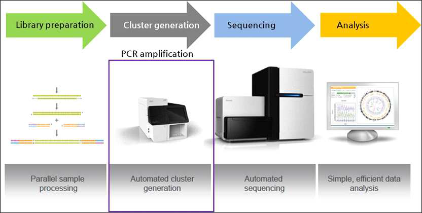 HiSeq procedure for NGS
