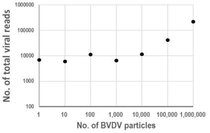 BVDV 수와 임의의 바이러스에 배정된 리드 수의 관계
