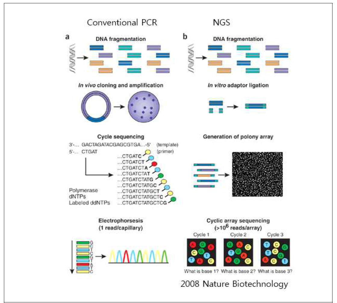 PCR과 NGS 비교