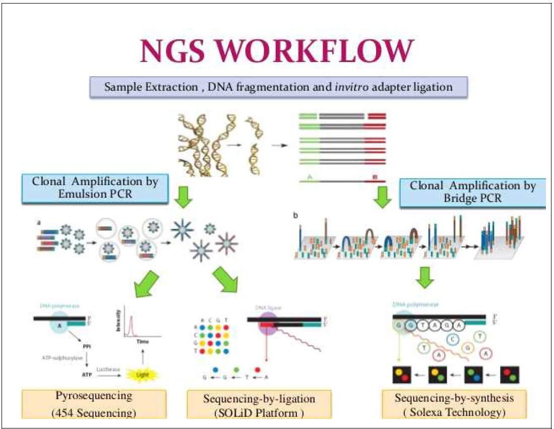 NGS Workflow