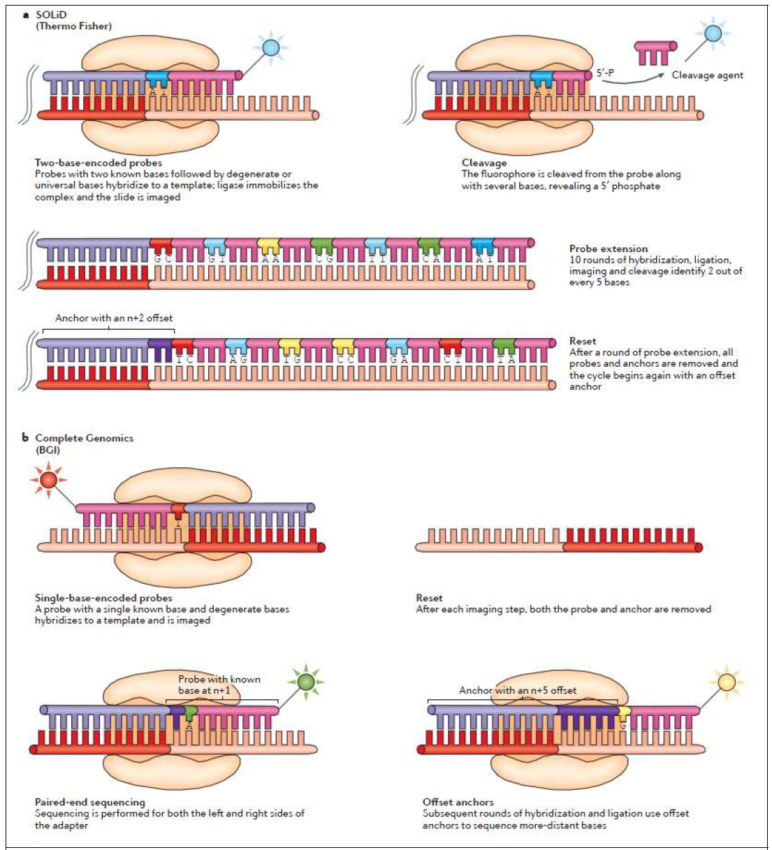 Sequencing by ligation methods 출처: Nature Reviews Genetics 2016