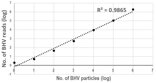 BHV 수와 Bovine alphaherpes1 바이러스로 배정된 리드 수의 관계