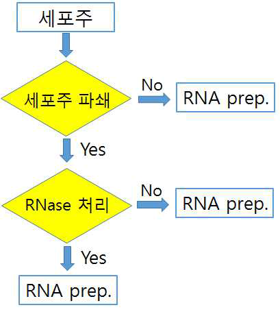 NGS 기반 RNA 바이러스 검출 한계점 측정을 위한 RNA 준비 방법
