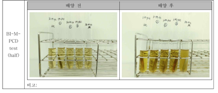 BI-M-PCD test 결과