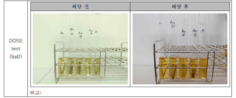 Dose test 결과