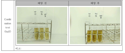 Combination test 결과