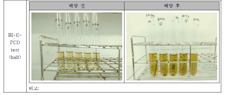 BI-E-PCD test 결과