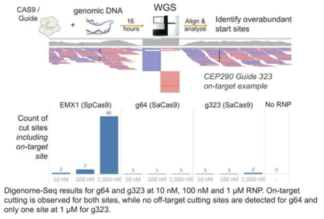 EDIT 101의 Digenome-seq. 2 sgRNA (g64, g323)에 대해 3가지 농도 (10nM, 100 nM, 1000 nM)의 RNP를 이용하여 실험을 진행함