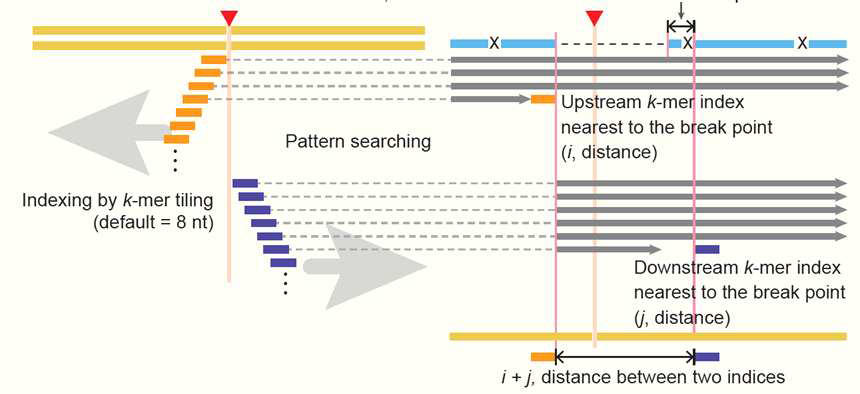 k-mer 분석을 이용한 효율적인 sequencing read의 indel 분석