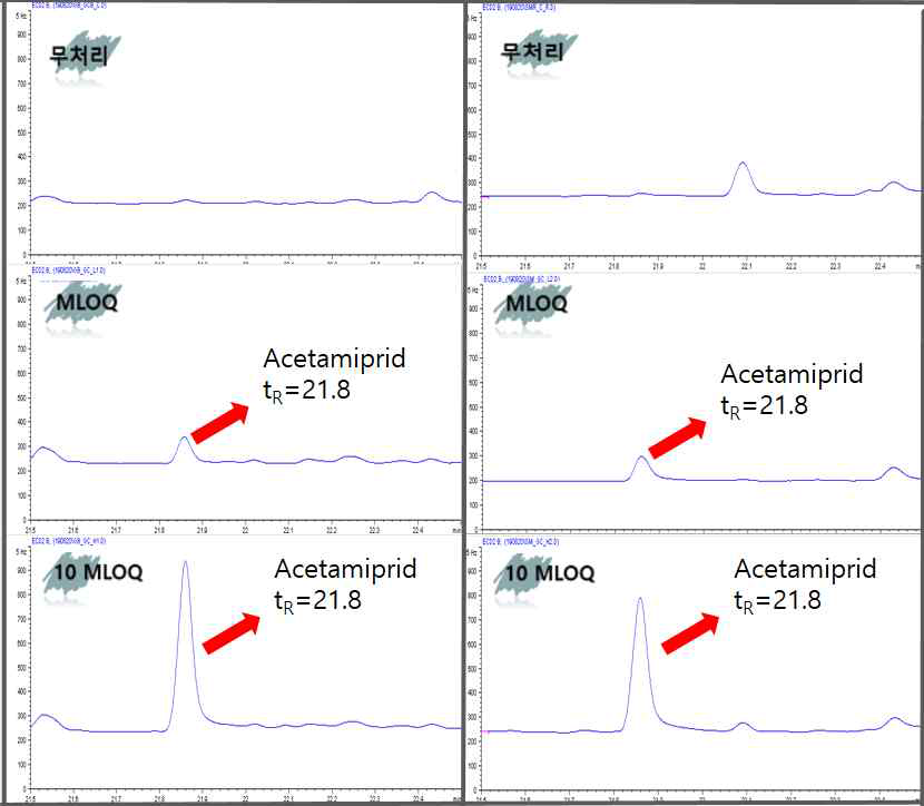 생약 고본(좌), 우슬(우) 중 acetamiprid의 GC-ECD chromatograms