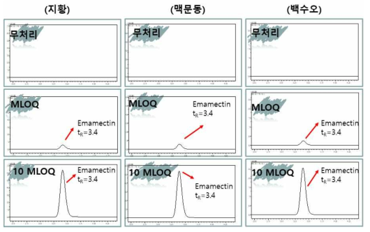 생약 지황, 맥문동, 백수오 중 emamectin의 LC-MS/MS 대표 크로마토그램