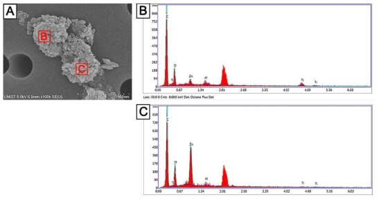 Sample C의 SEM 이미지 및 EDS 측정결과. A. SEM 이미지, B. EDS 측정결과-1, C. EDS 측정결과-2
