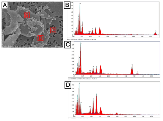 Sample E의 SEM 이미지 및 EDS 측정결과. A. SEM 이미지, B. EDS 측정결과-1, C. EDS 측정결과-2, D. EDS 측정결과-3