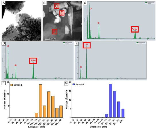 Sample E의 TEM 이미지 측정결과. A. TEM 이미지, B. STEM 이미지, C. EDS 측정결과-1, D. EDS 측정결과-2, E. EDS 측정결과-3, F. 길이측정(장축), G. 길이측정(단축)