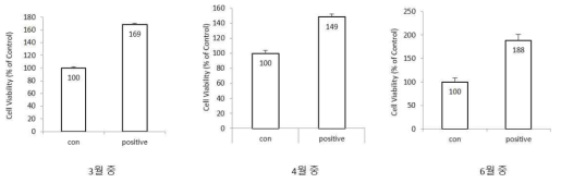 HaCaT 세포증식실험 밸리데이션 (실험실 내 정밀성 검증)