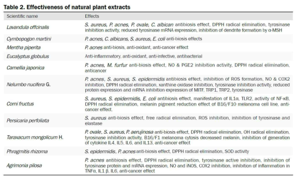 다양한 식물 추출물과 essential oil 에 의한 여드름 항균 효능