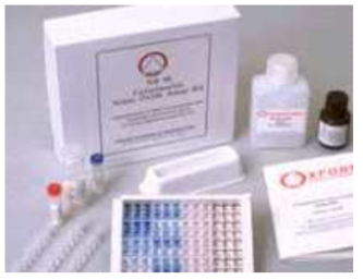 Nitric Oxide detection assay (Griess reagent)