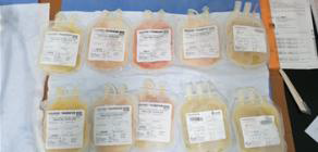 우간다 혈액원에서 국내로 운송된 혈액 (2019. 9)