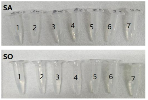 의료기기 시험물질 극성·비극성 용매 용출물의 발색성 시험 결과 상·하 각각 극성 용매(생리식염수, SA) 용출물 및 비극성 용매(참기름, SO) 용출물. 좌측부터 순서대로 1) HDPE, 2) Genapol X-080 in PVC(Y-4), 3) Polyurethane E80A, 4) 15% SDS in silicone, 5) 25% Heptanoic acid in silicone, 6) 4% Genapol X-100 in PVC, 7) silicone