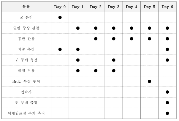 LLNA: BrdU-FCM의 동물실험 수행 목록