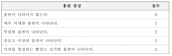 홍반증상 점수