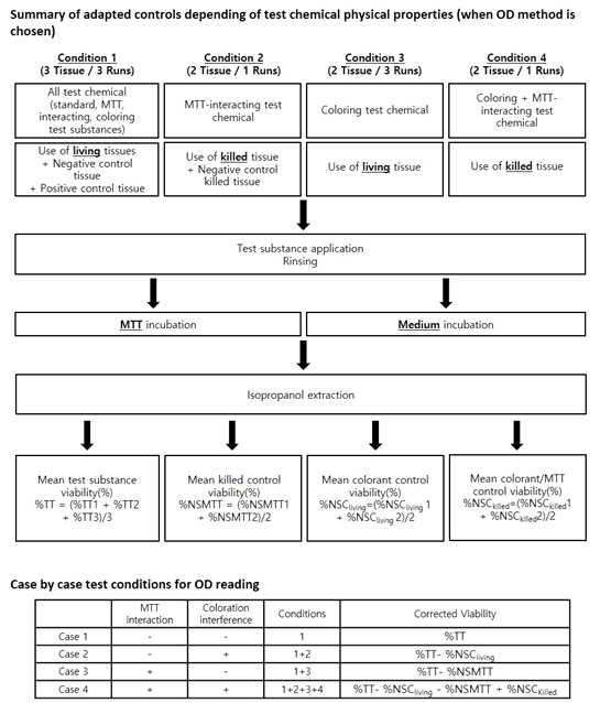 Functional check 및 세포생존율의 보정(flow-chart)