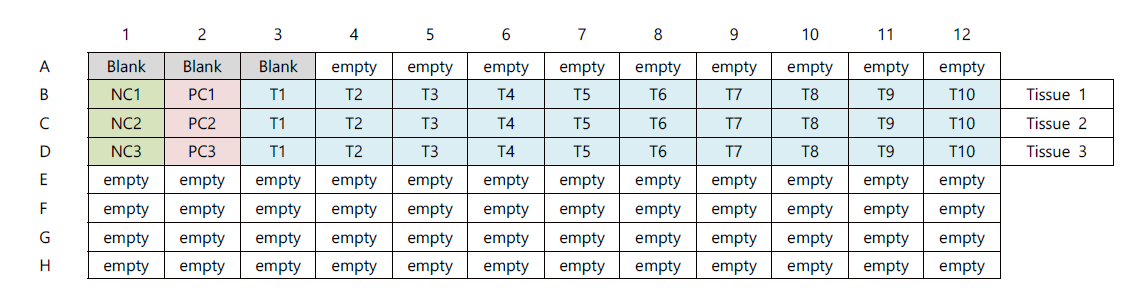 96 well plate 배치도