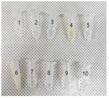 숙련도물질 10종의 발색성 결과 상단 왼쪽부터 1) Cyclamen aldehyde, 2) 1-Bromohexane, 3) Potassium hydroxide (5% aq), 4) 1-Methyl-3-phenyl-1-piperazine, 5) Heptanal, 6) Naphalene acetic acid, 7) Isopropanol, 8) Methyl stearate, 9) Heptyl butyrate, 10) Hexyl salicylate