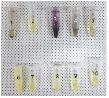 숙련도물질 10종의 MTT반응성 확인 상단 왼쪽부터 1) Cyclamen aldehyde, 2) 1-Bromohexane, 3) Potassium hydroxide (5% aq), 4) 1-Methyl-3-phenyl-1-piperazine, 5) Heptanal, 6) Naphalene acetic acid, 7) Isopropanol, 8) Methyl stearate, 9) Heptyl butyrate, 10) Hexyl salicylate