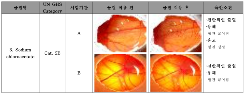 시험기관 간 종결반응평가법 판정 불일치 물질에 대한 혈관 반응 비교