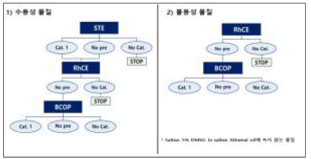 안자극 단계적 접근법 전략(안) 4