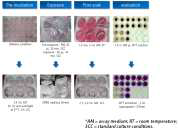 인체각막유사 상피모델(EpiOcularTM)을 이용한 안자극 시험법 Overview