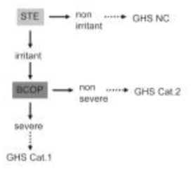 안자극 통합독성평가 단계적 접근법 모식도(Hayashi et al., 2012a)