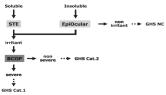 Hayashi 등의 제시하는 전략 1의 모식도(Hayashi et al., 2012)