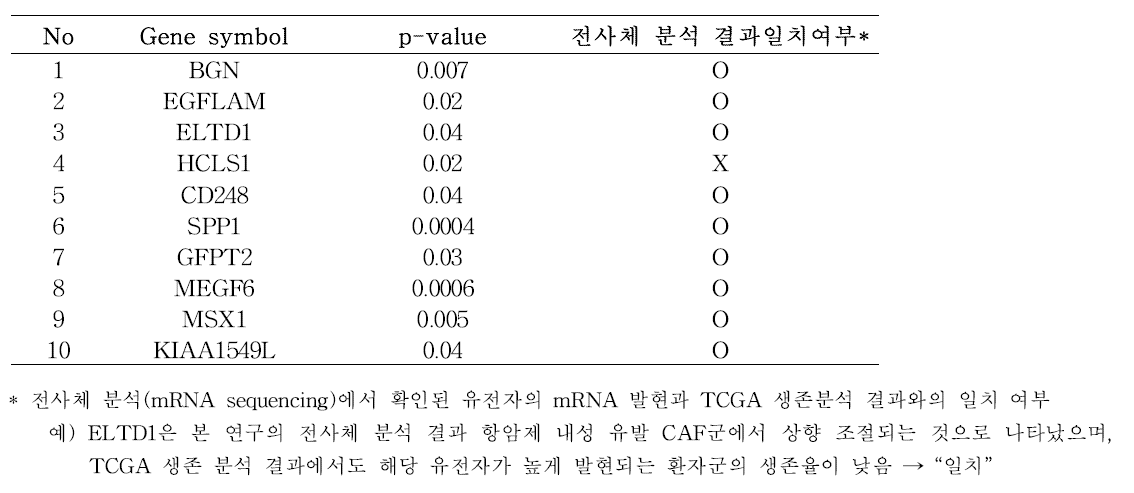 DEG 분석을 통해 선별된 유전자의 TCGA 생존분석 결과