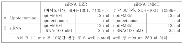 Transfection mixture 조성 및 처리 조건