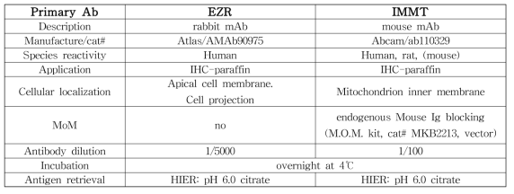 IHC에 이용한 항체 정보