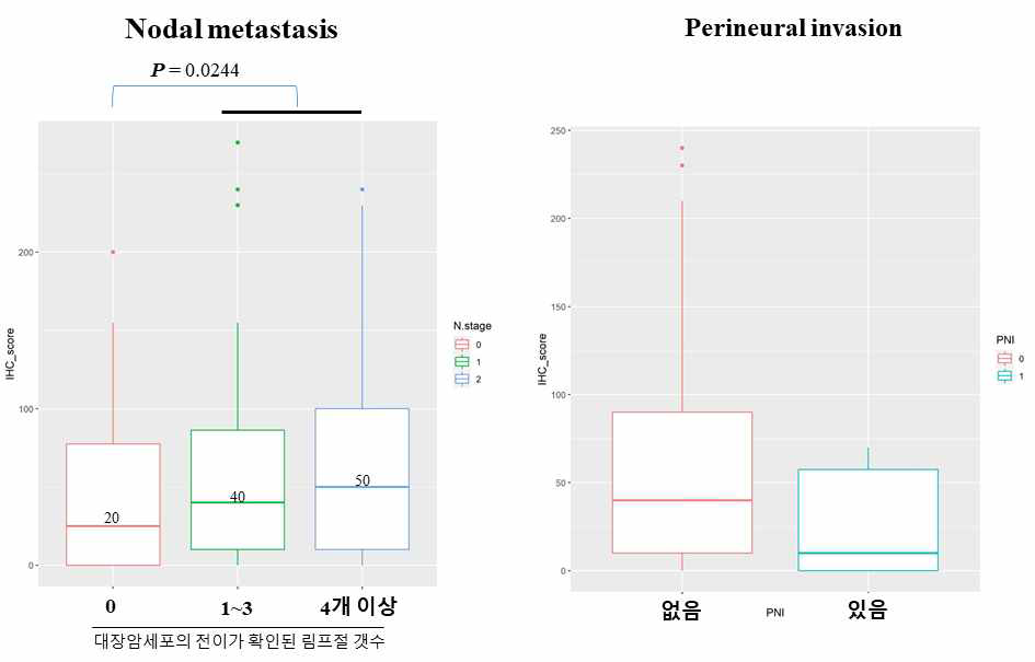 IHC 결과 기반 EZR 발현과 Nodal metasatasis 및 Perineural invasion의 상관관계 분석