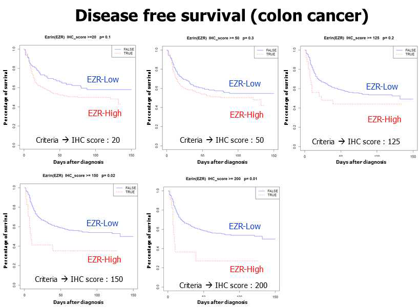 EZR(Ezrin) 발현에 따른 대장암 환자의 생존 분석